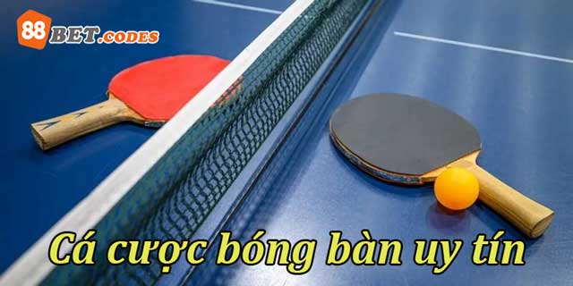 cach-chon-trang-web-ca-cuoc-bong-ban-online-uy-tin-tai-88bet-codes